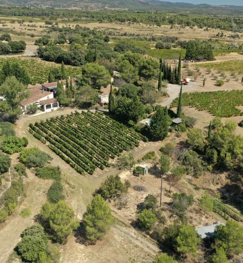 DOMAINE FONTANILLE HAUT VUE