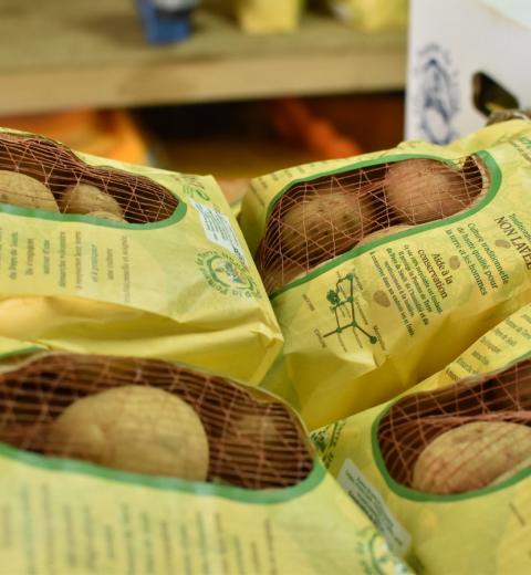 Coopérative du Pays de Sault - pommes de terre