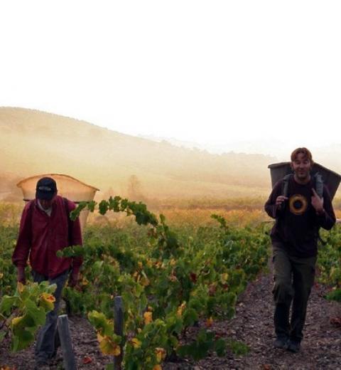 DOMAINE GRAND GUILHEM 