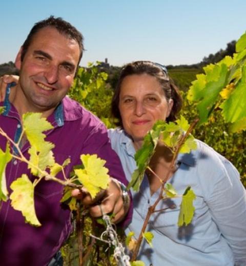 DOMAINE DE CLARMON - TOUROUZELLE