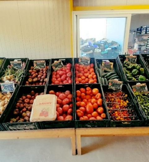 SAURY WILLIAM SAINT ANDRE