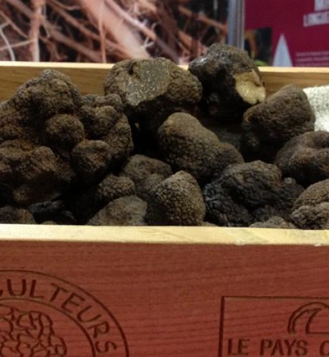 LARMURIER BARBAZA FRANÇOISE