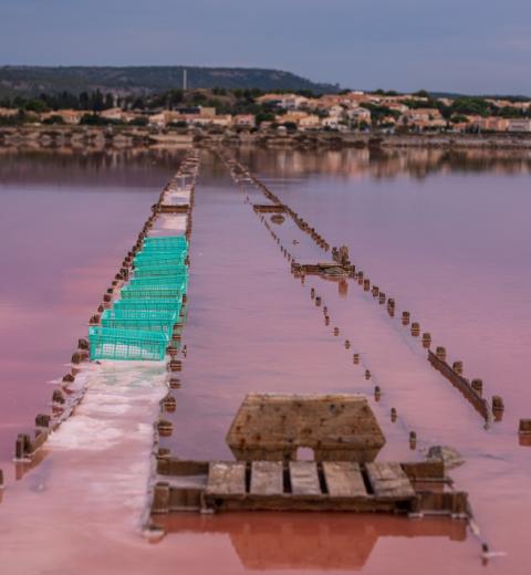 Le salin de l'ile St Martin