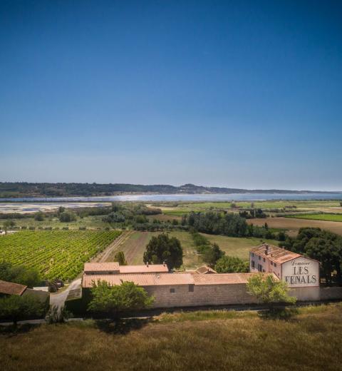 Les Fenals-Fitou_12