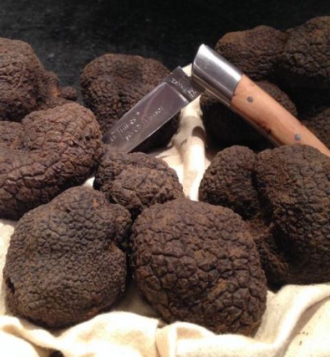 MONSIEUR CLERGUE PHILIPPE