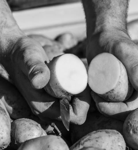 MONSIEUR DAIGNEAUX SEBASTIEN