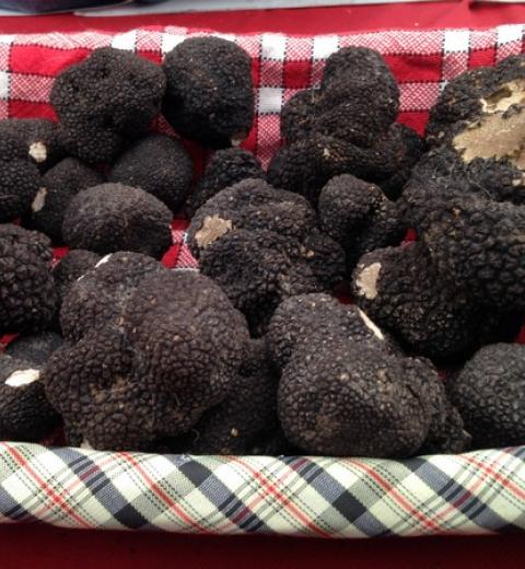 MONSIEUR PHILIPPE GAYZARD