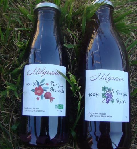 Milgrana_Paraz'ane_9_Paraza