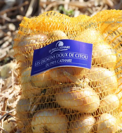 Oignons Doux de Citou Pays Cathare