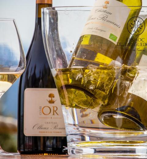 CHATEAU OLLIEUX ROMANIS 