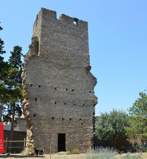 DOMAINE LA TOUR BOISEE