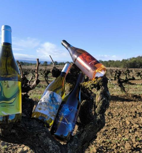 VILLEPEYROUX VINS BRR