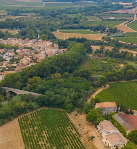 DOMAINE HERBE SAINTE