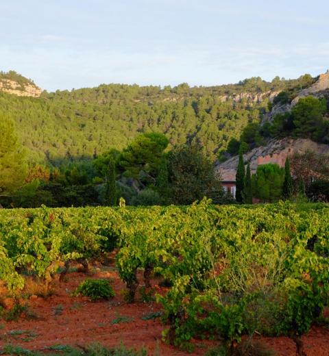 CHATEAU PRIEURE BORDE ROUGE