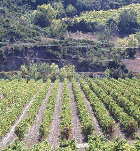 CHATEAU DE NOUVELLES