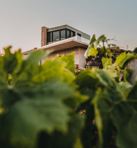 DOMAINE DE LA ROCHELIERRE