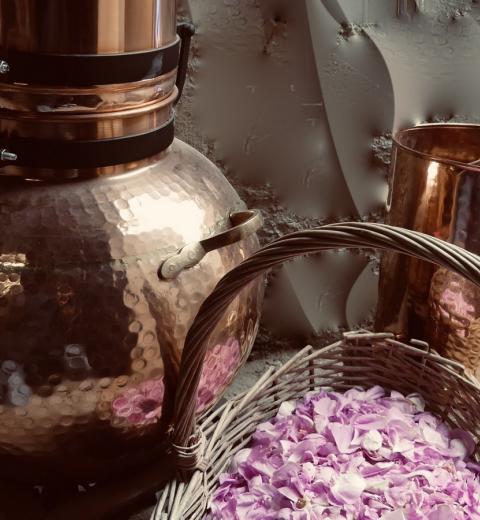 La distillerie d'Ana