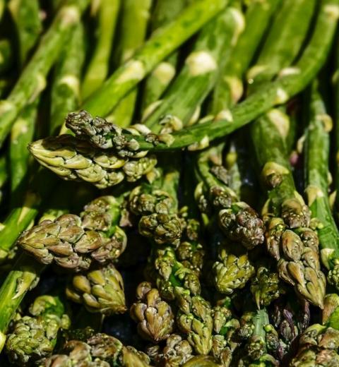 MONSIEUR REMI TARDIEU