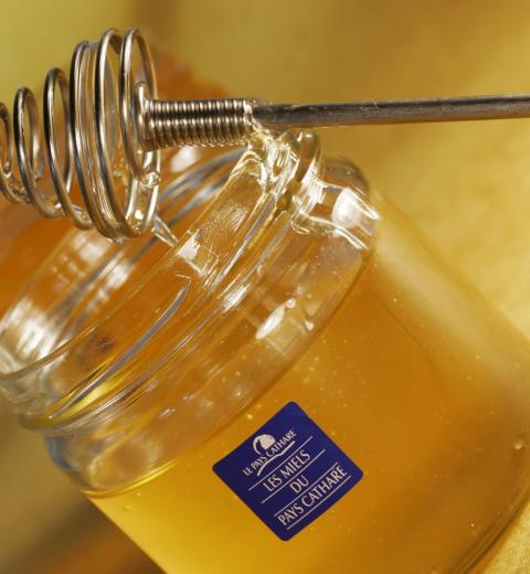 MIEL DU PAYS CATHARE