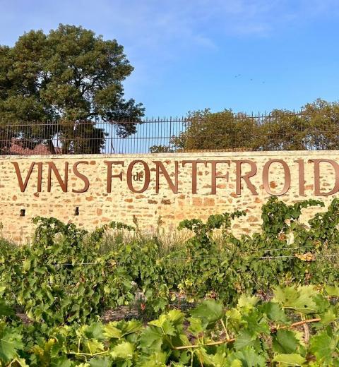 les vins de Fontfroide
