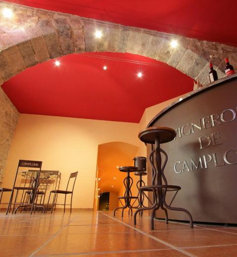 LES VIGNERONS DE CAMPLONG